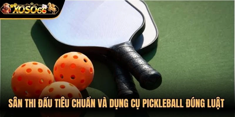 Sân thi đấu tiêu chuẩn và dụng cụ pickleball đúng luật chơi pickleball