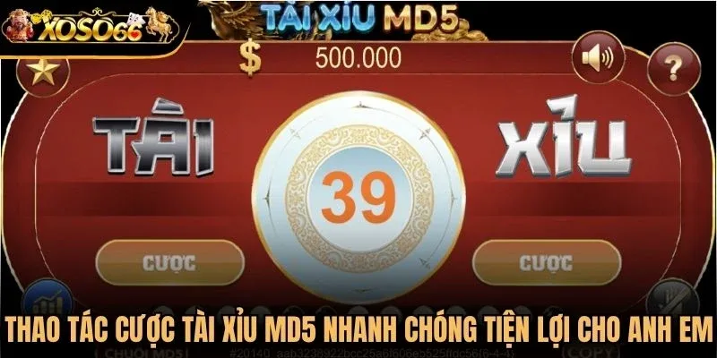 Thao tác cược tài xỉu md5 nhanh chóng tiện lợi cho anh em